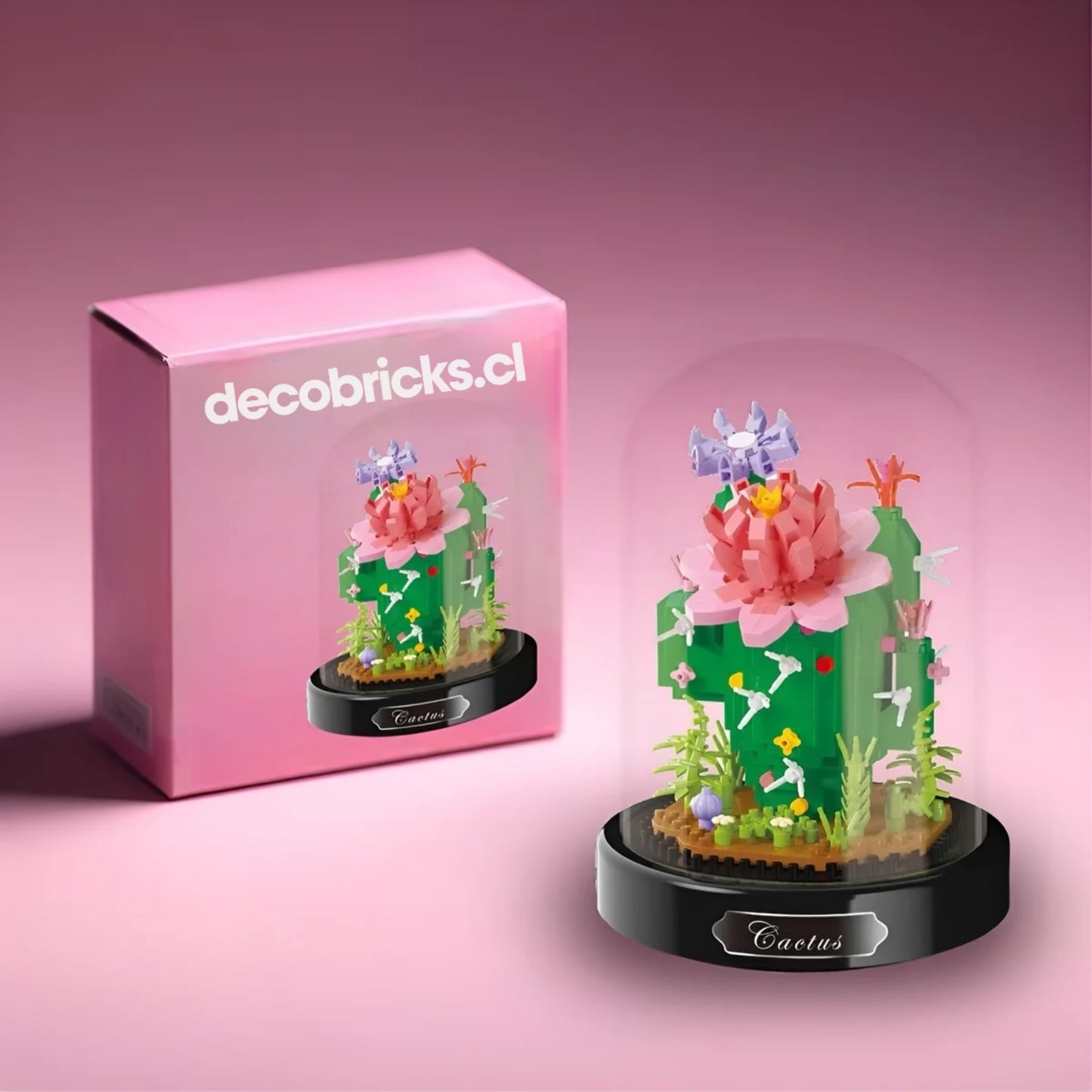 Flores eternas en vitrina | +500 Piezas