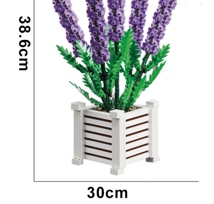 Lavandulas | 1204 Piezas