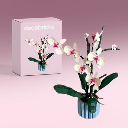 Orquídeas | 711 Piezas