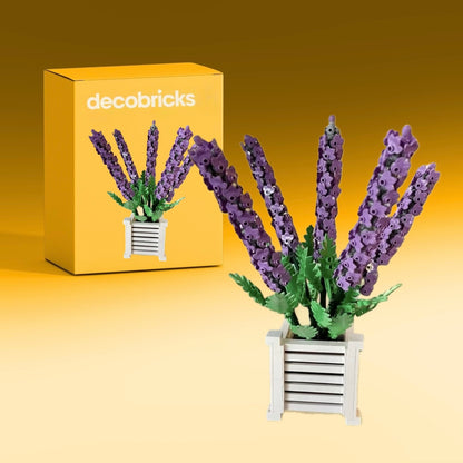 Lavandulas | 1204 Piezas