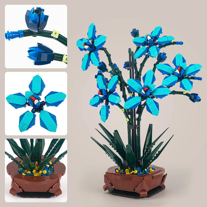 Macetero orquídea azul | 1097 Piezas
