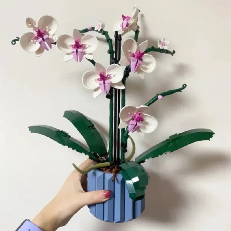 Orquídeas | 711 Piezas