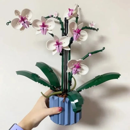 Orquídeas | 711 Piezas